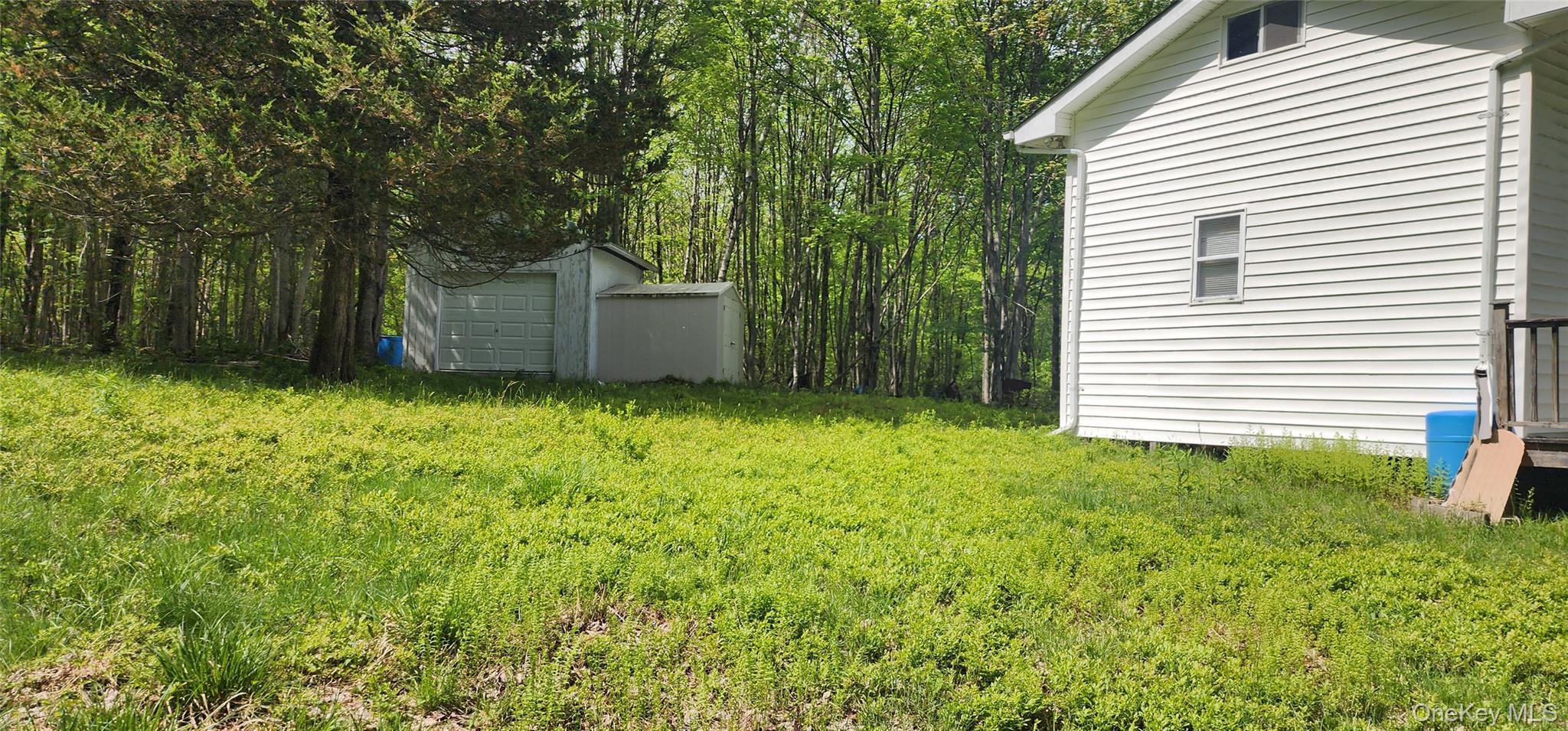 1433 County Route 56 Lane Property Photo 3