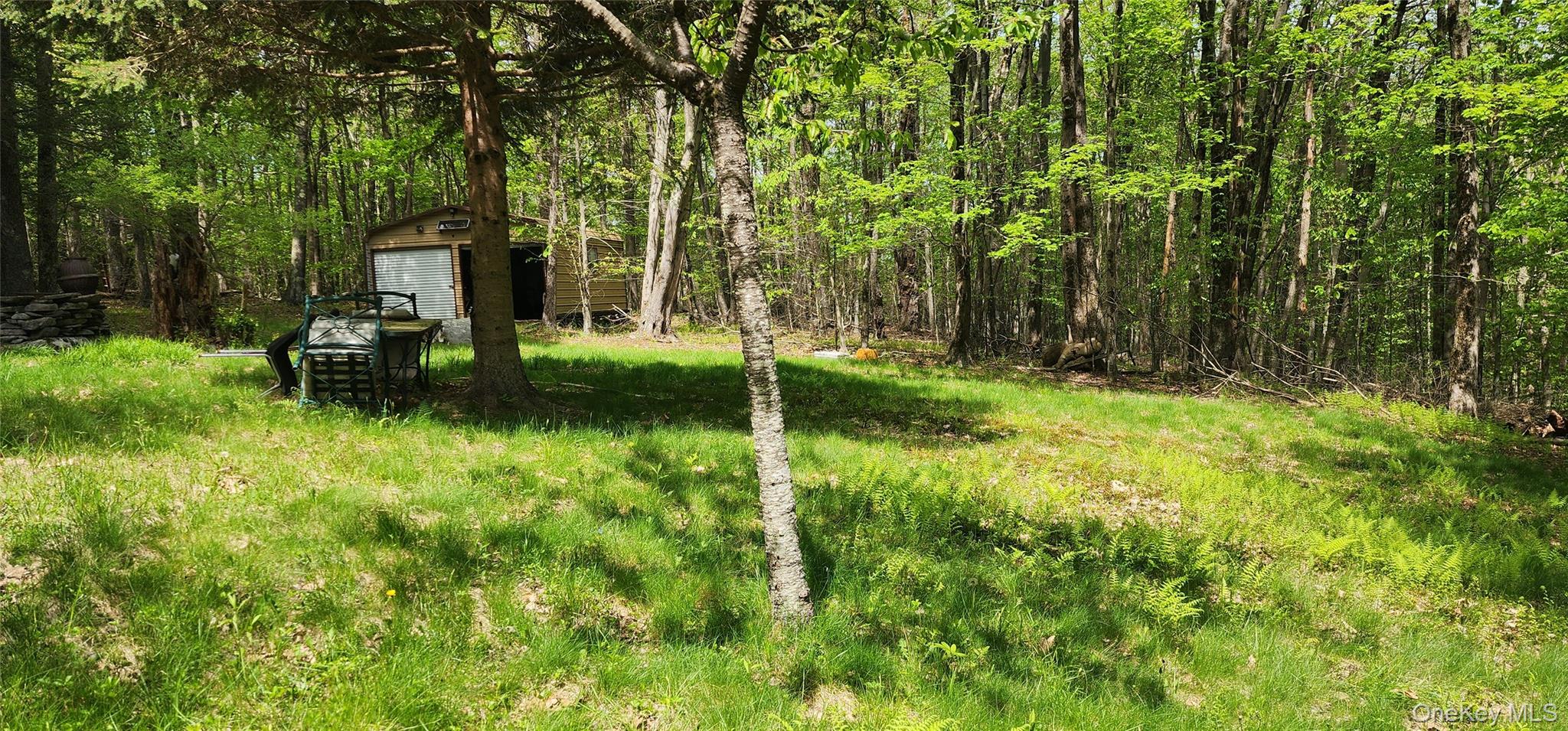 1433 County Route 56 Lane Property Photo 5