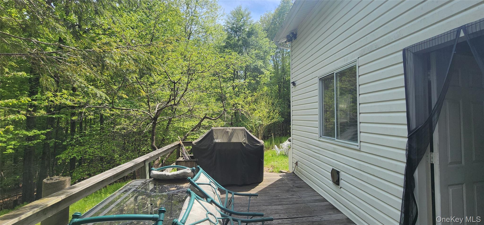 1433 County Route 56 Lane Property Photo 9
