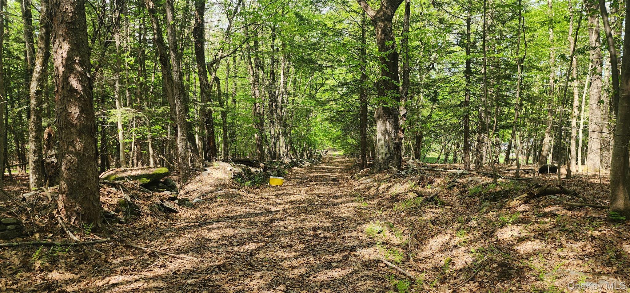 1433 County Route 56 Lane Property Photo 12