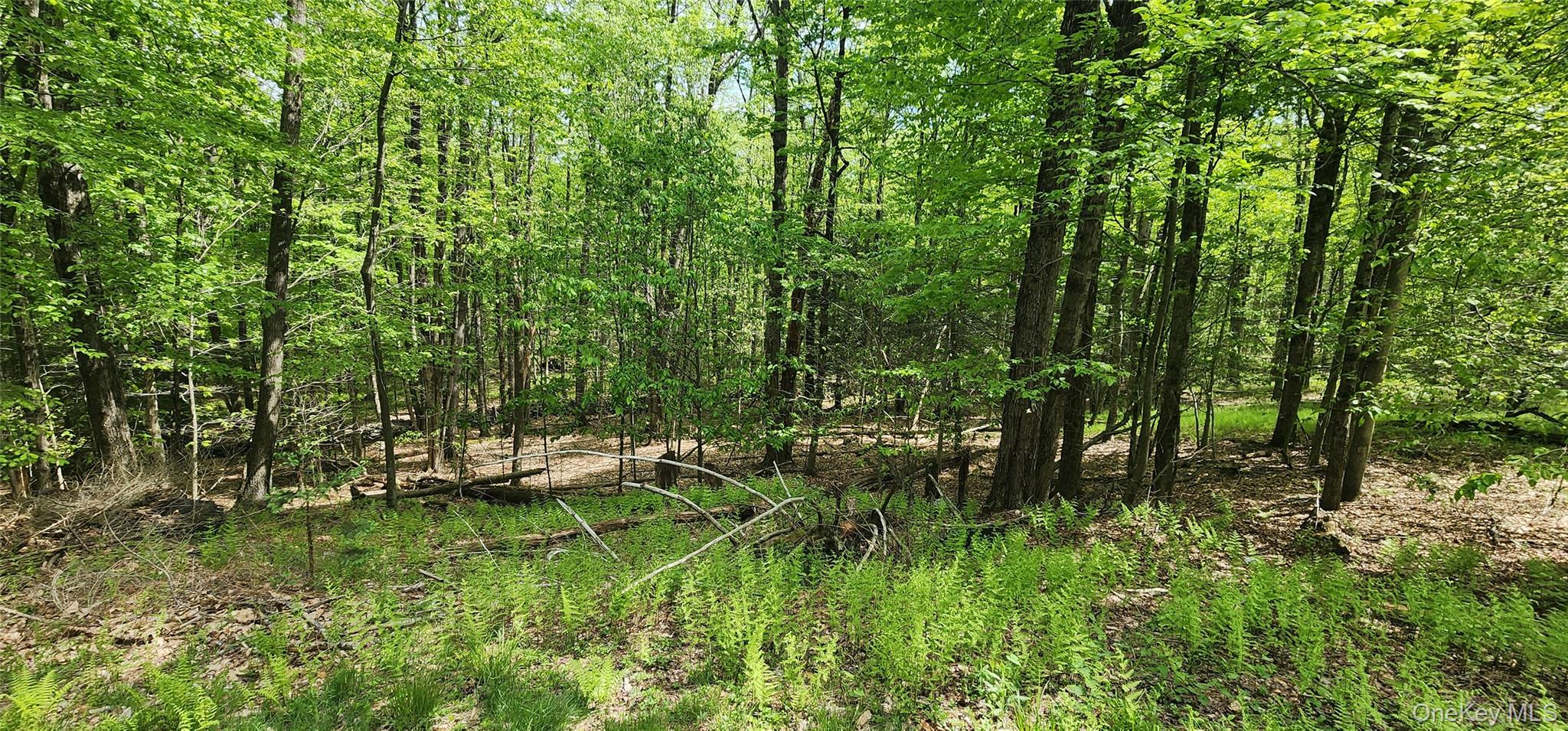 1433 County Route 56 Lane Property Photo 15
