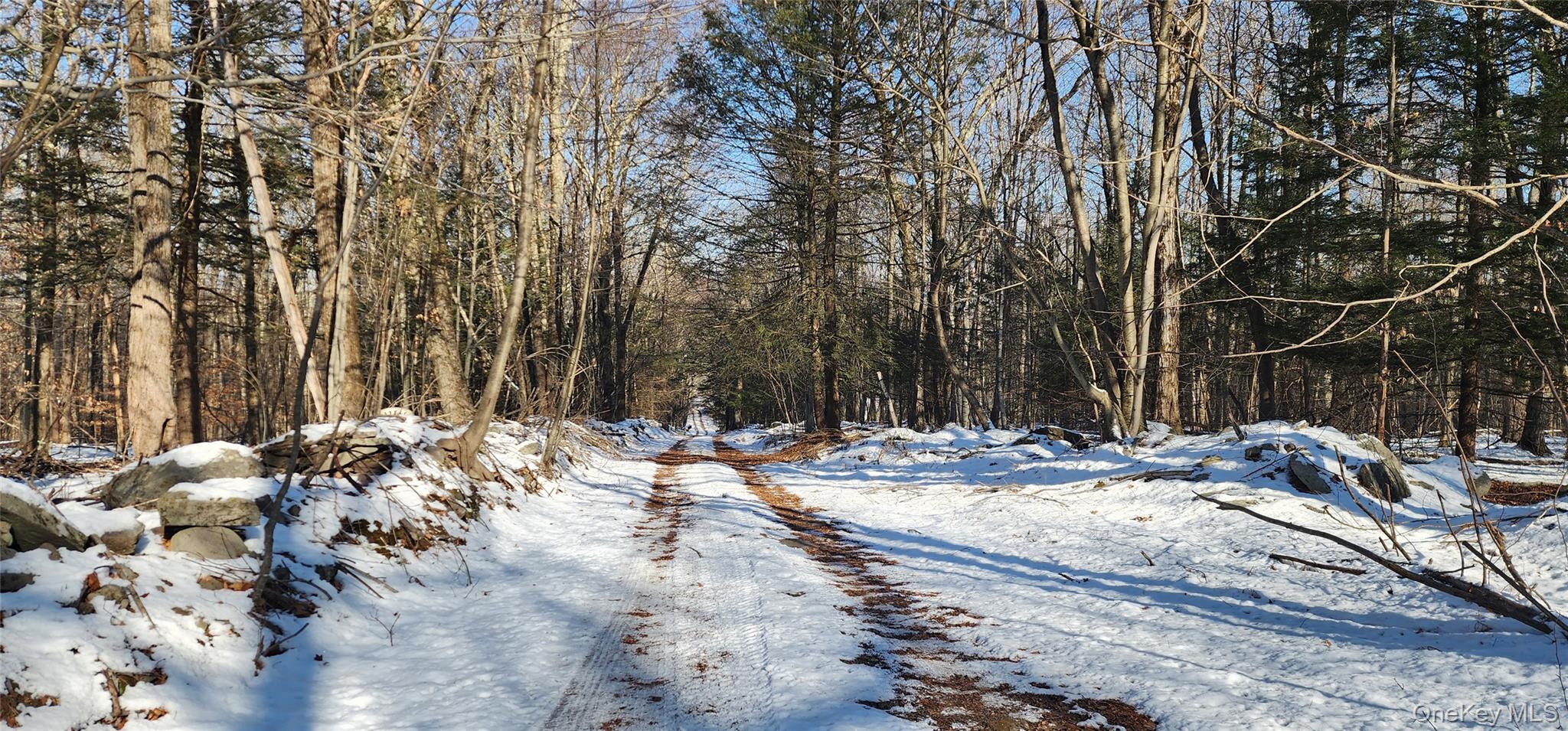 1433 County Route 56 Lane Property Photo 26