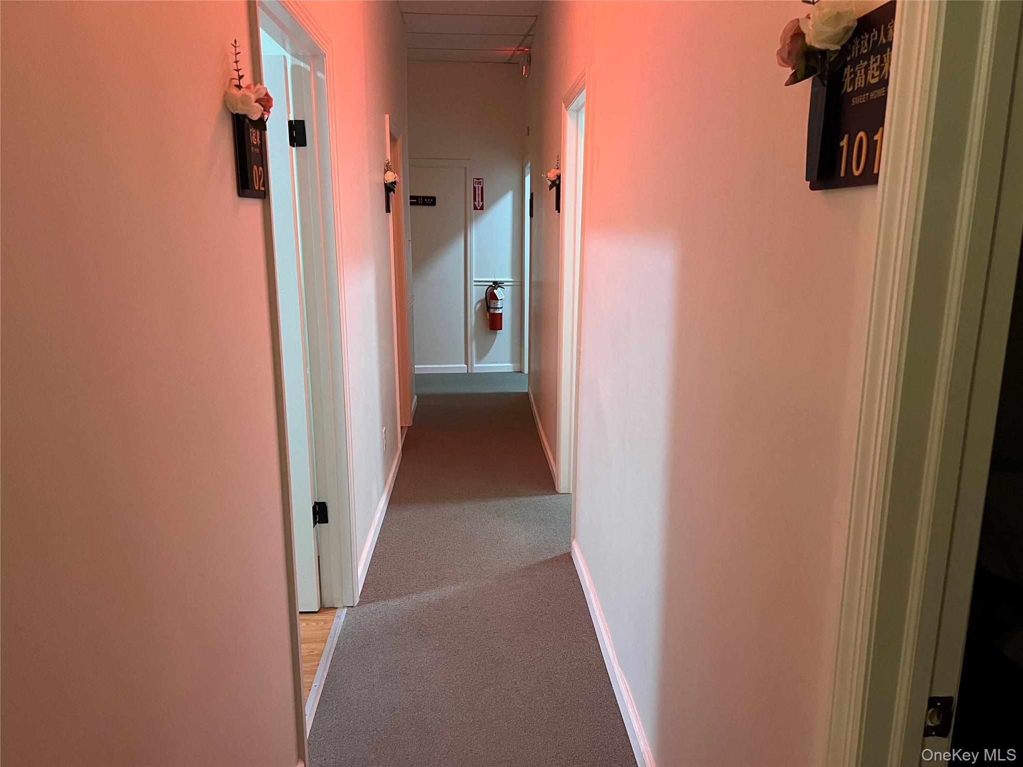 2-8 A Forest Avenue 5 Property Photo 11