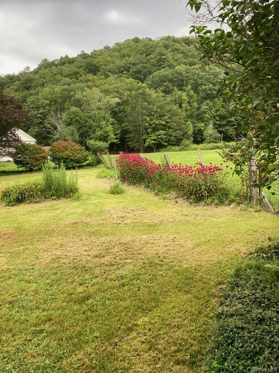 736 Sundown Road Property Photo 6