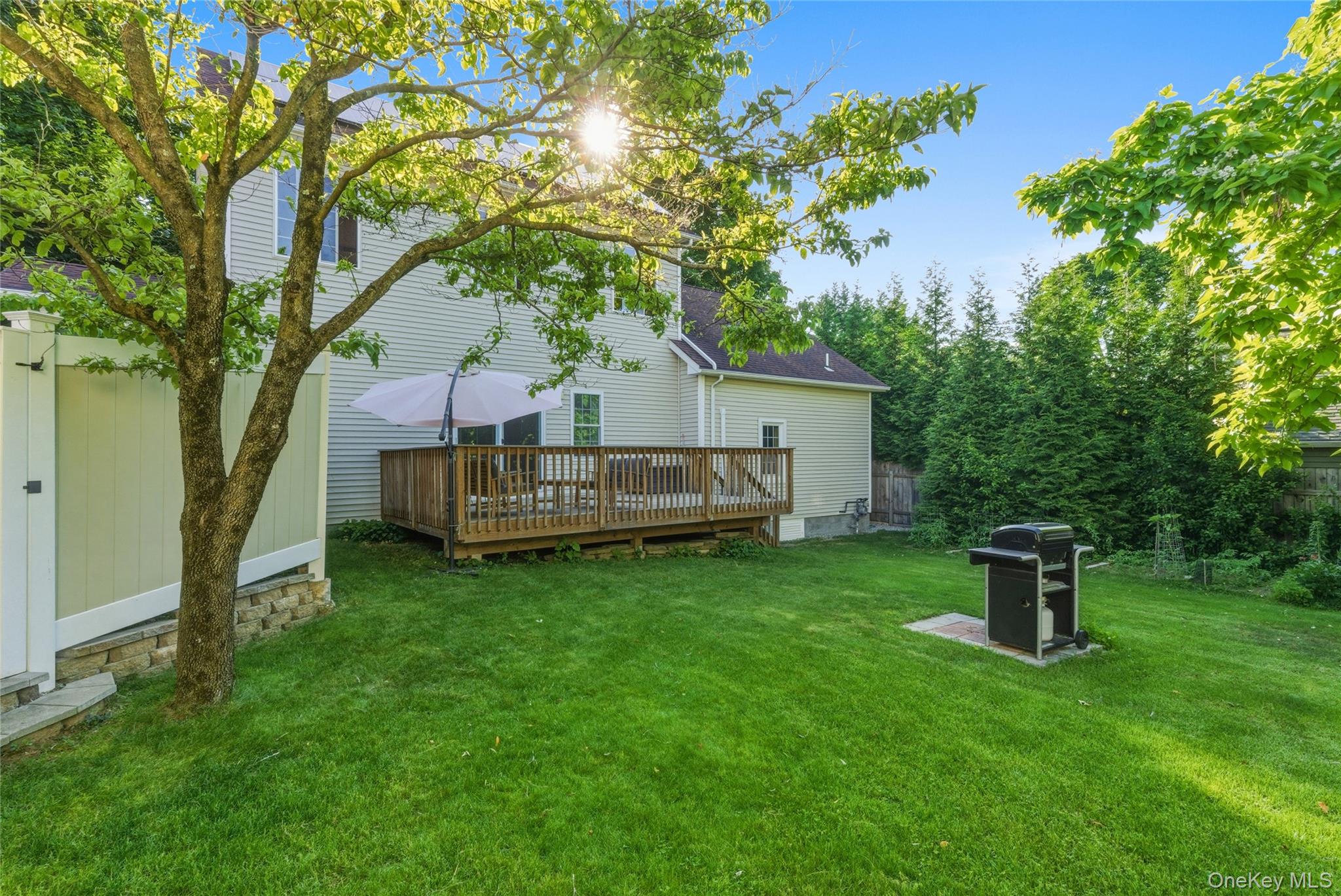 216 Catherine Street Property Photo 43