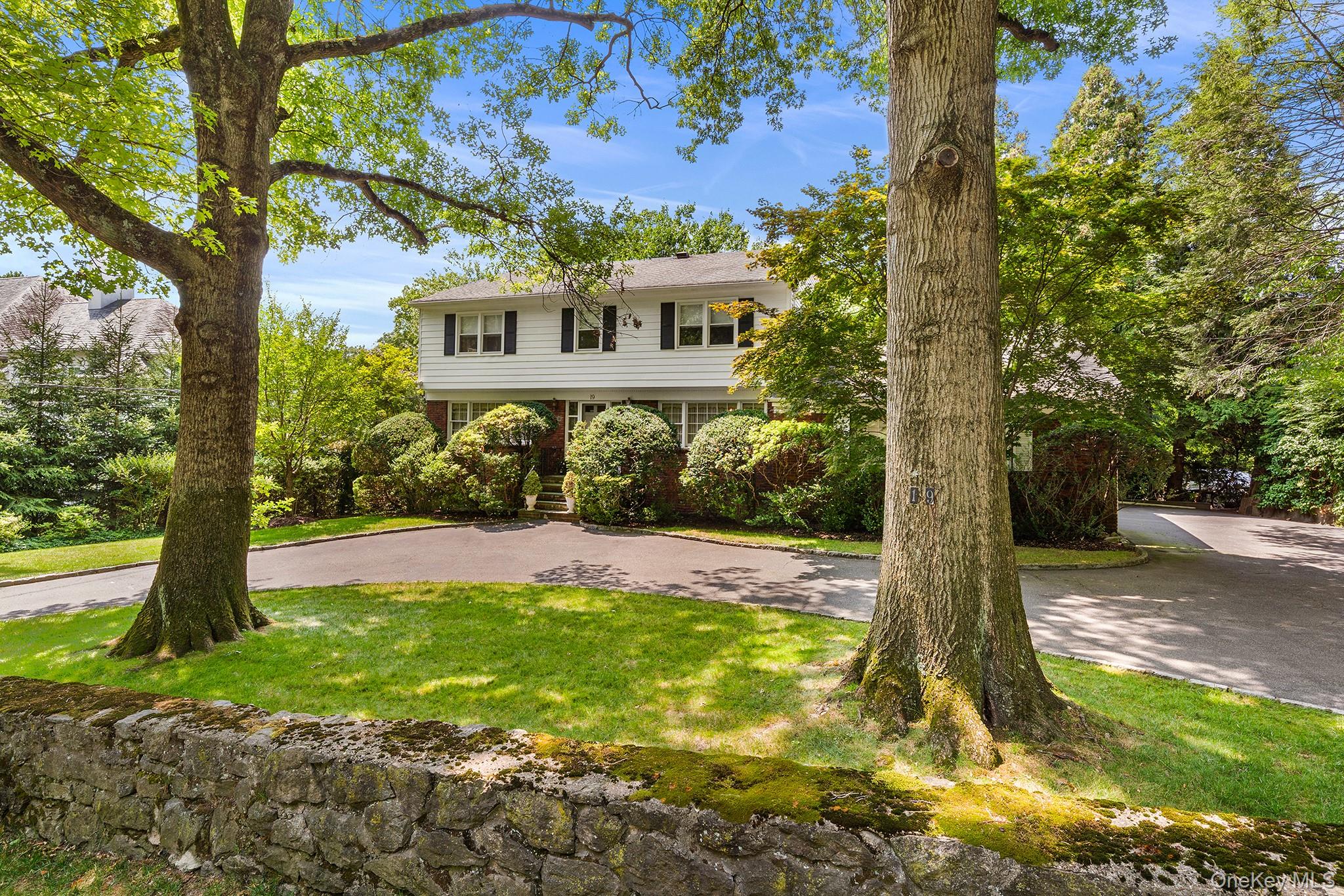 19 Carlton Road Property Photo 1