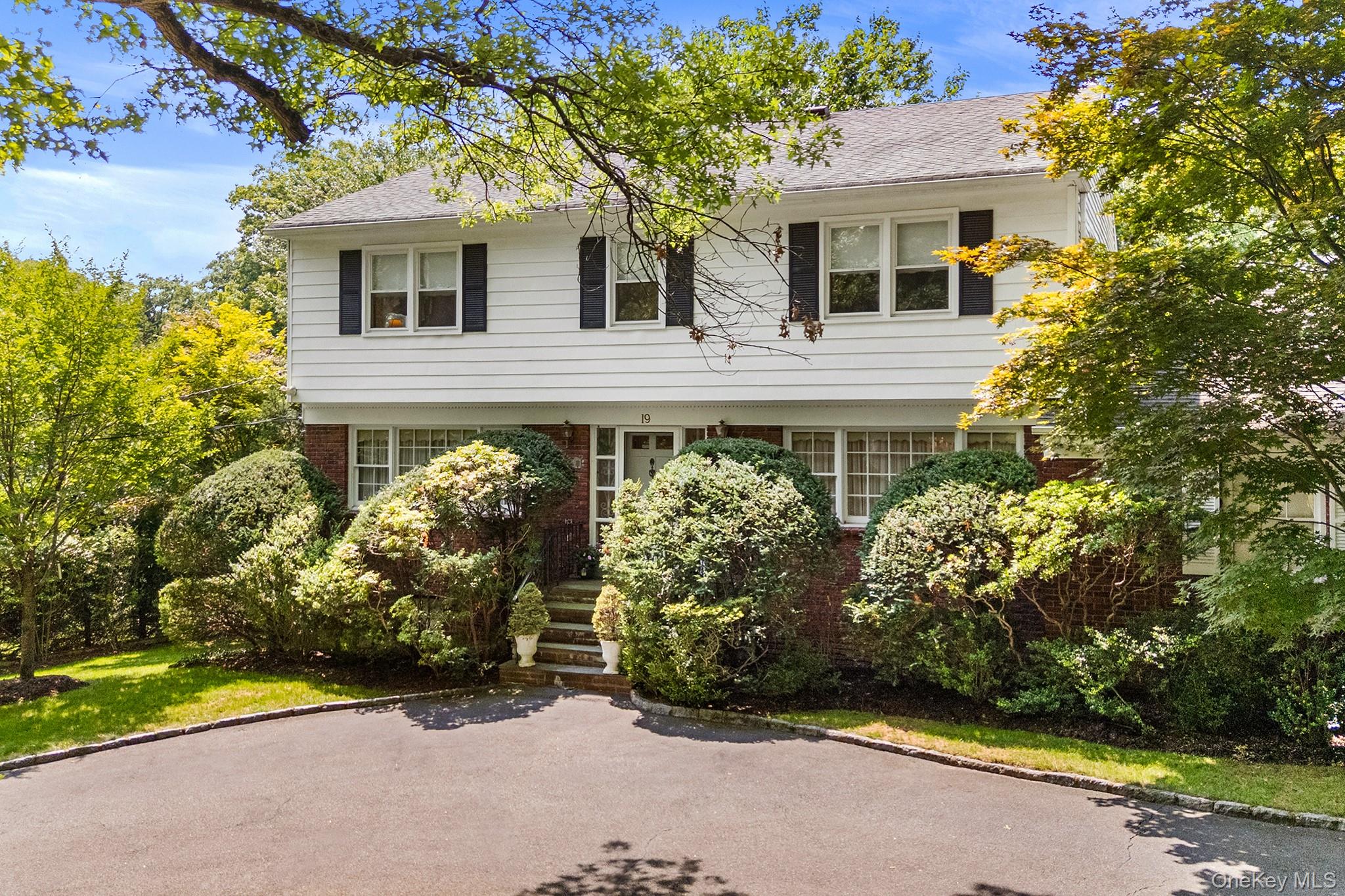 19 Carlton Road Property Photo 3