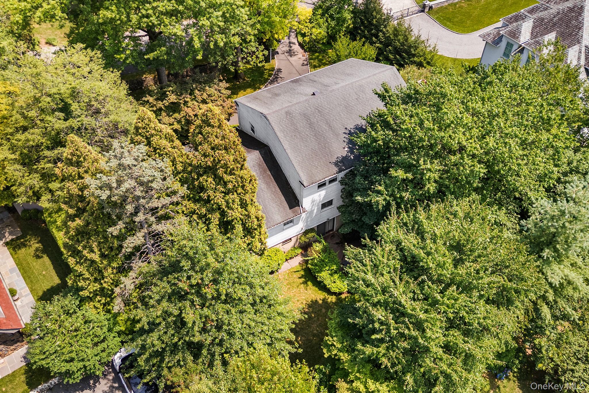 19 Carlton Road Property Photo 40