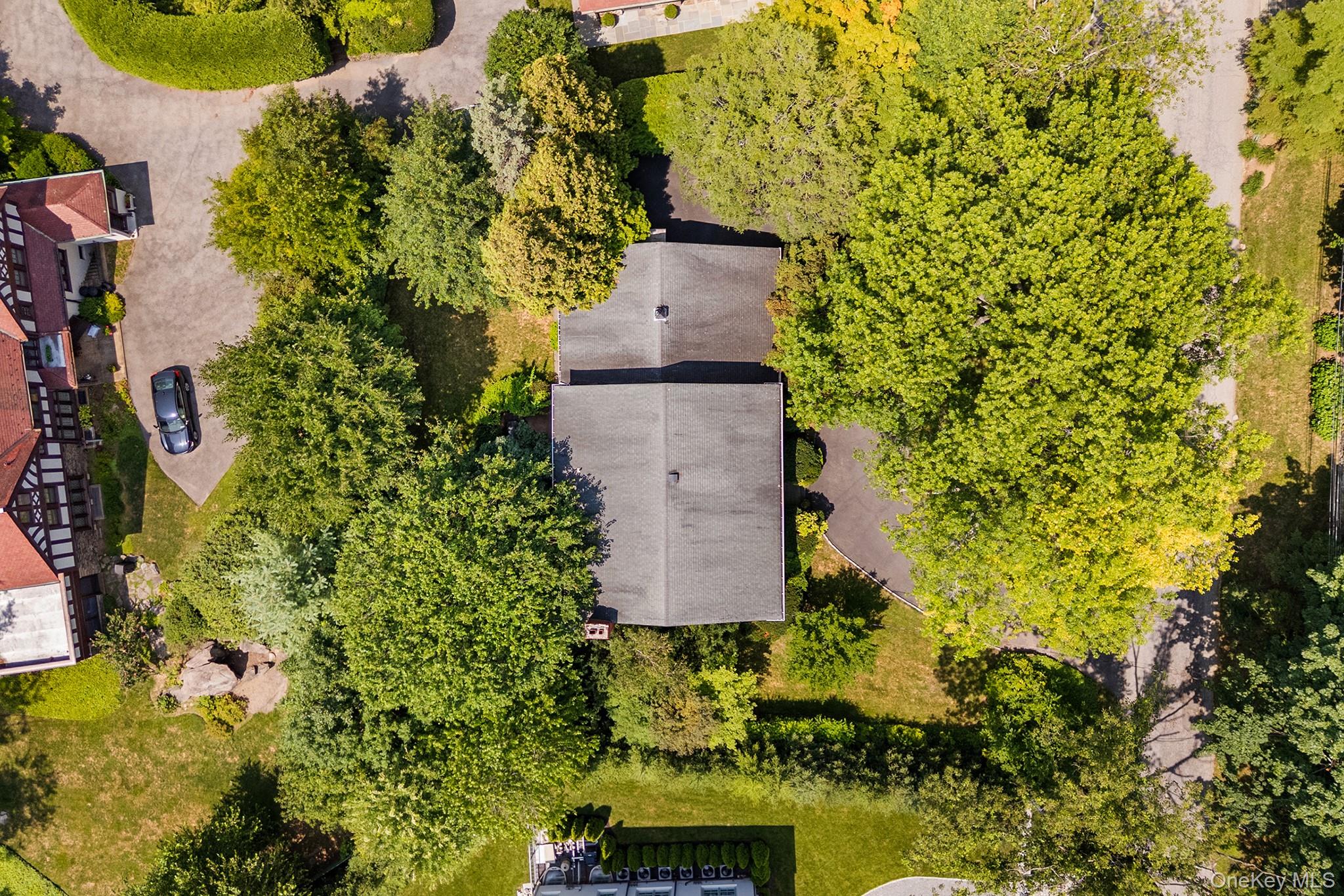 19 Carlton Road Property Photo 41