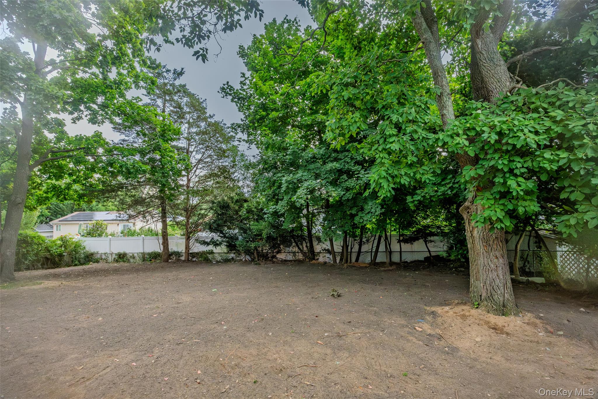 2907 Sipp Avenue Property Photo 47