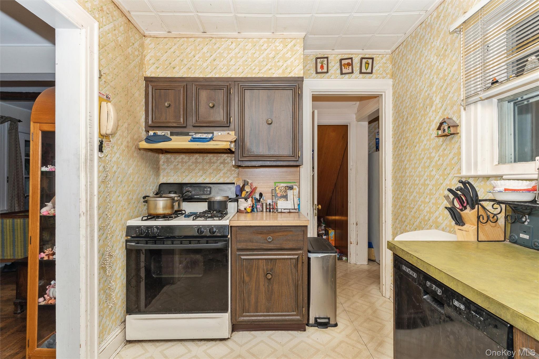 358 Arleigh Road Property Photo 17