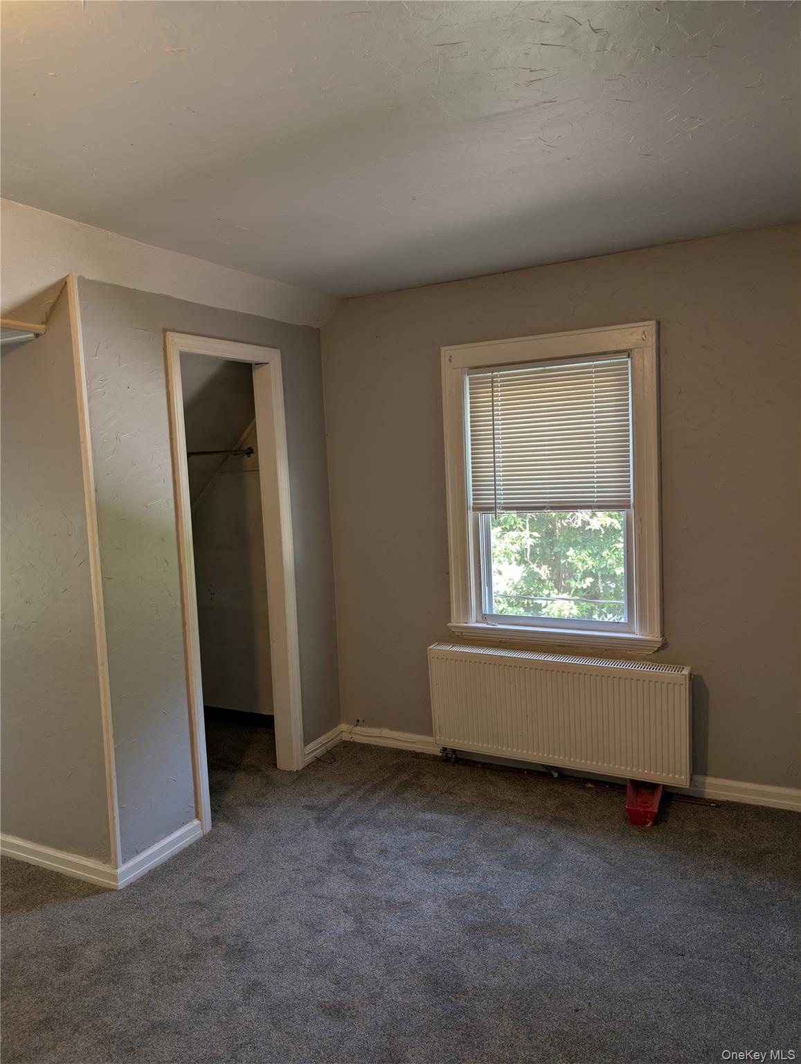 394 Riley Road 1 Property Photo 21