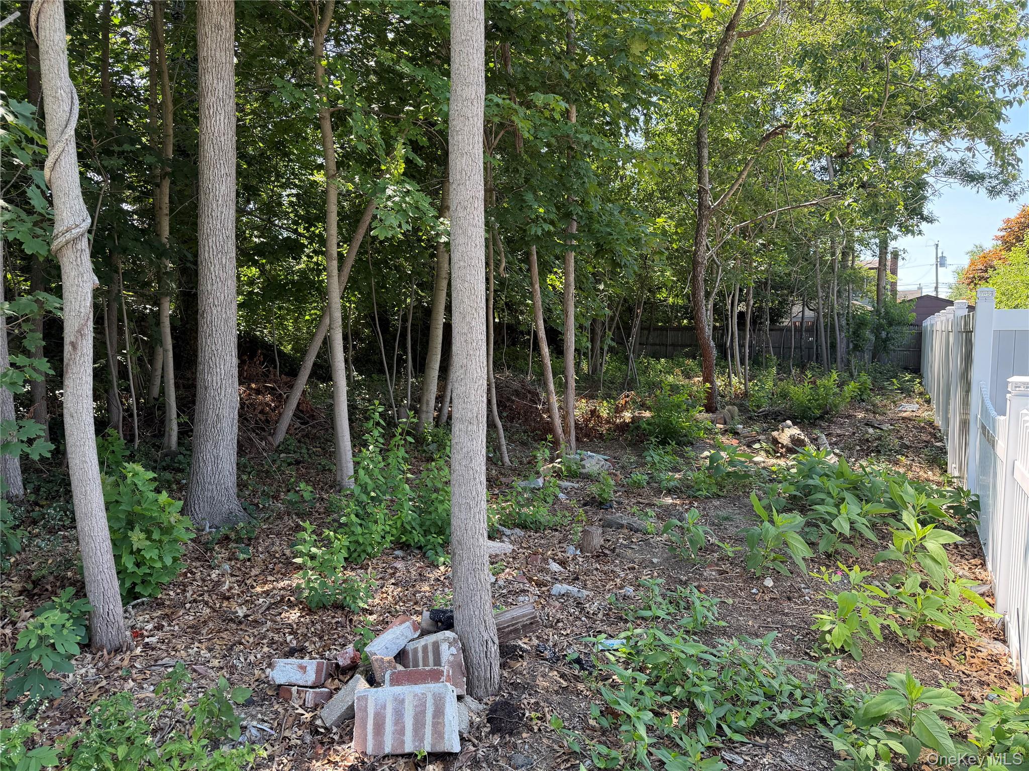 72 Phelps Lane Property Photo 1