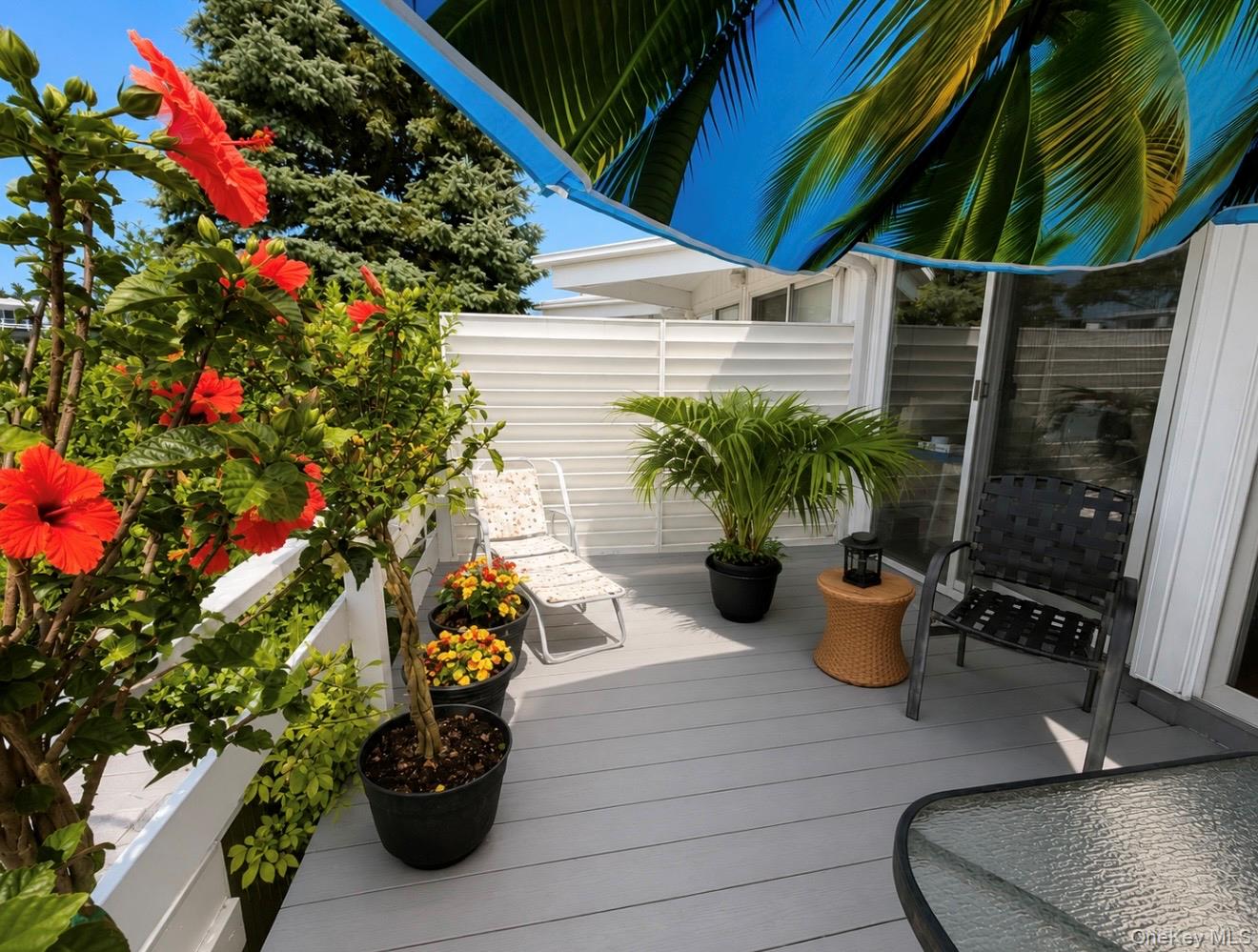 35 Library Avenue 8 R Property Photo 15