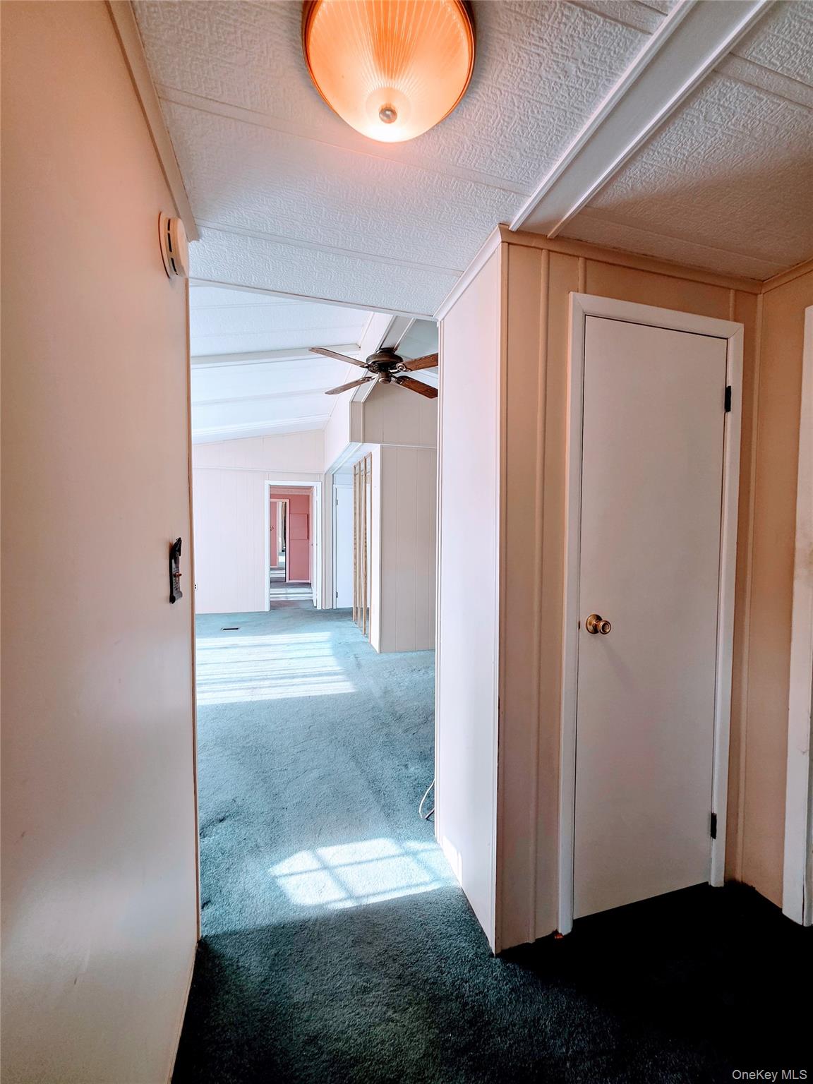 35 Perry Road Property Photo 23