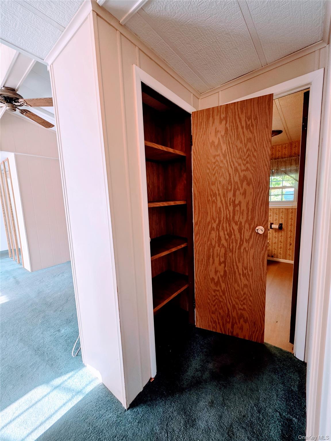 35 Perry Road Property Photo 31