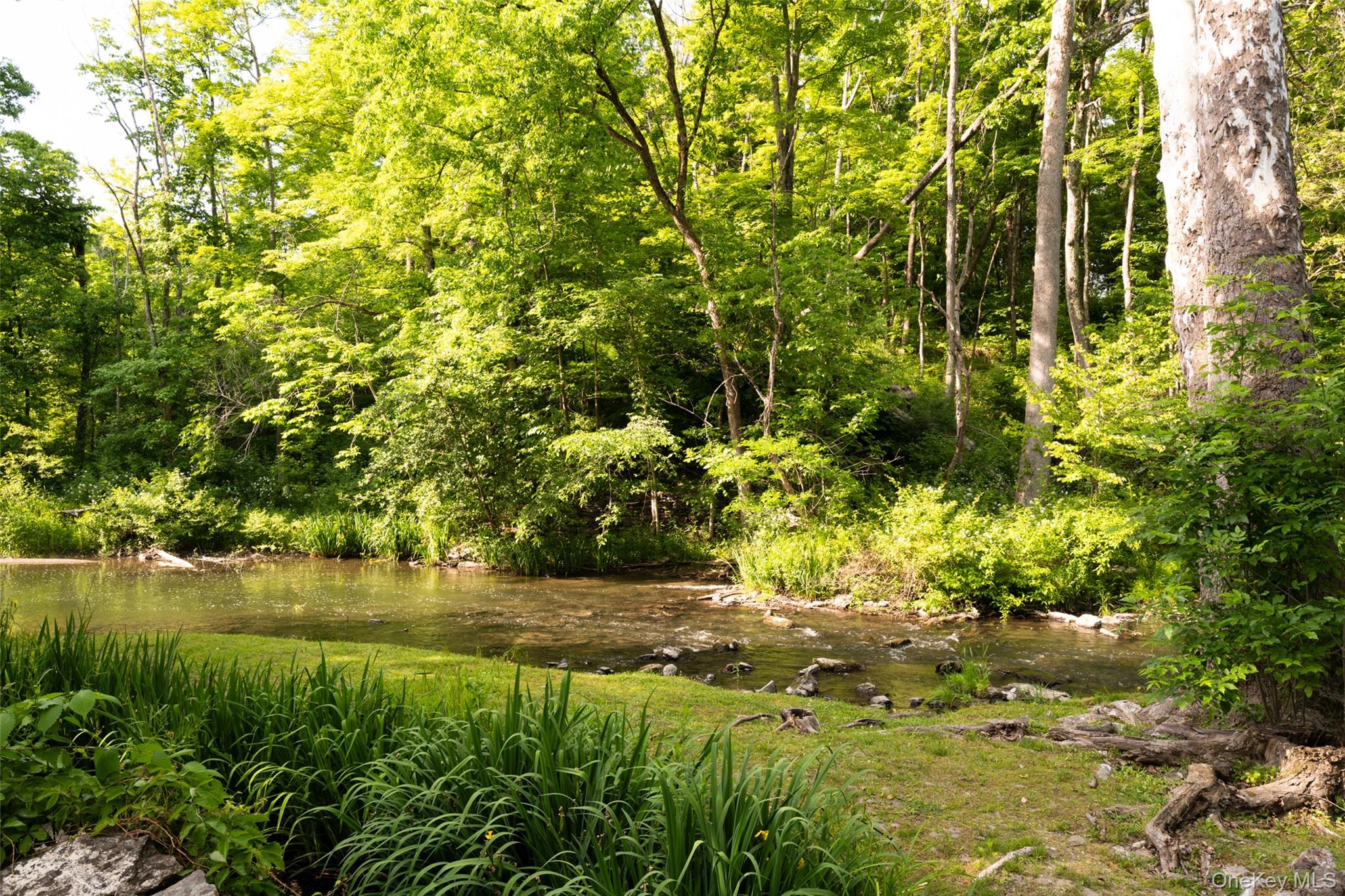 4918 Route 82 Property Photo 5