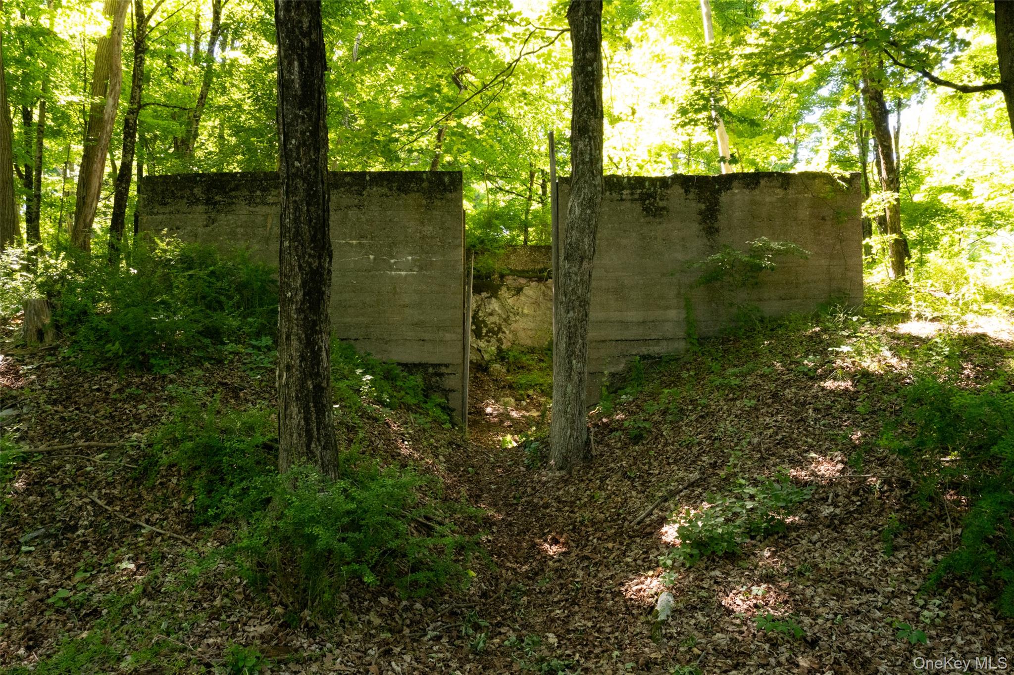 4918 Route 82 Property Photo 45