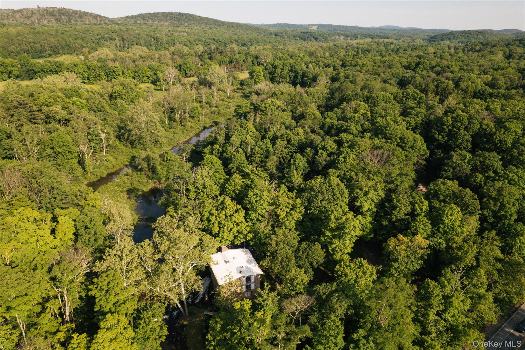 4918 Route 82 Property Photo 48