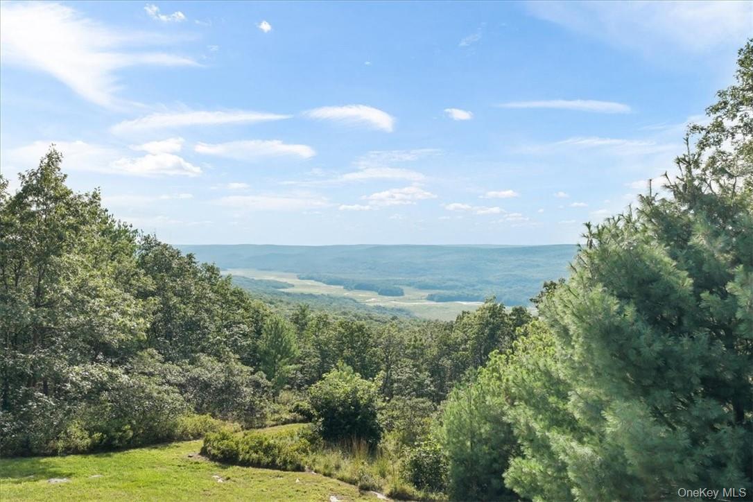 96 Treetops Trail Property Photo 23