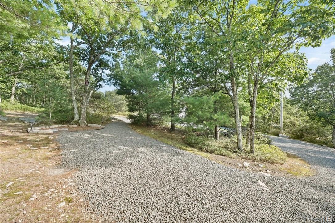 96 Treetops Trail Property Photo 25