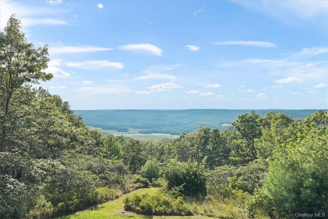 96 Treetops Trail Property Photo 29