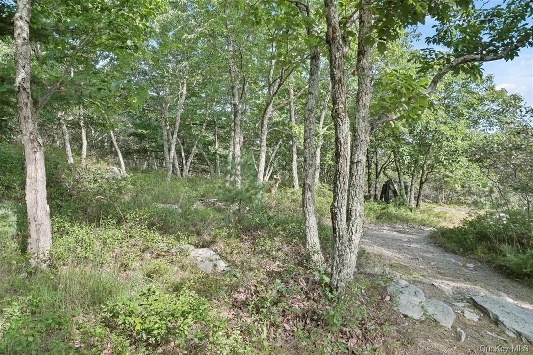 96 Treetops Trail Property Photo 31