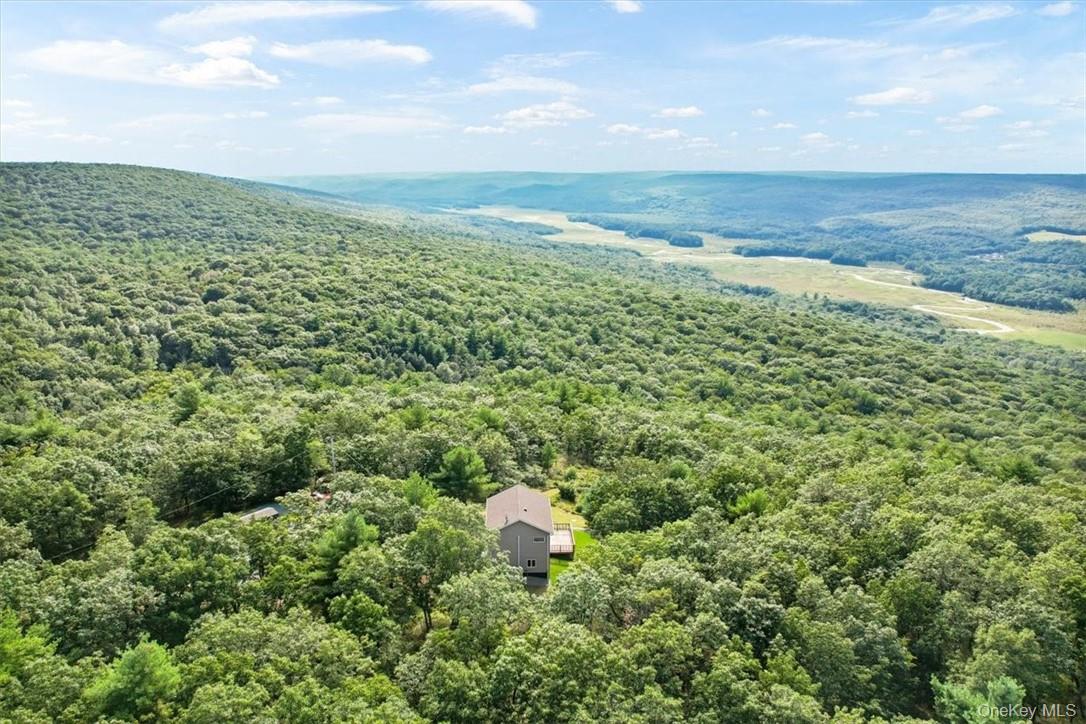 96 Treetops Trail Property Photo 33