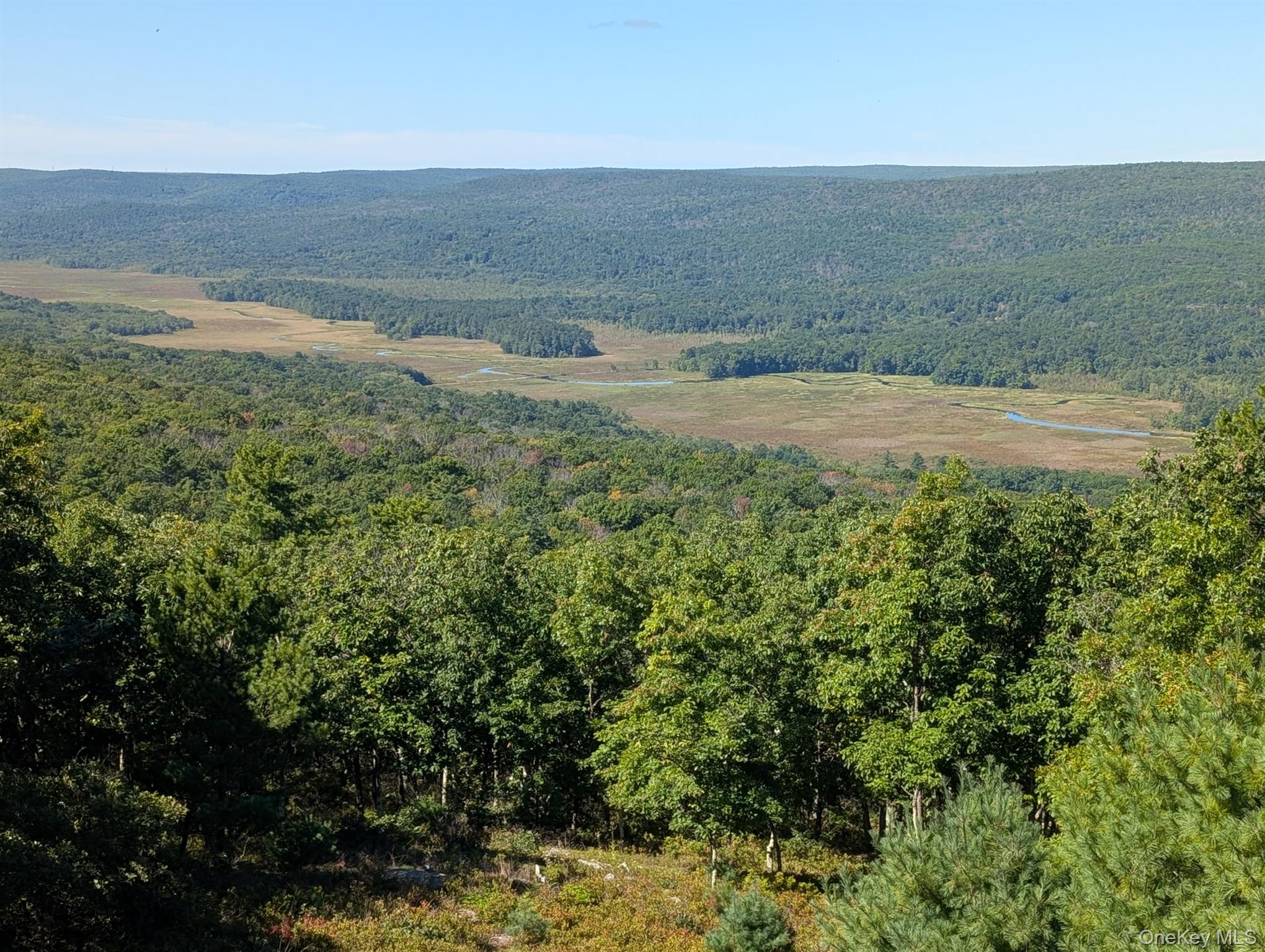 96 Treetops Trail Property Photo 35