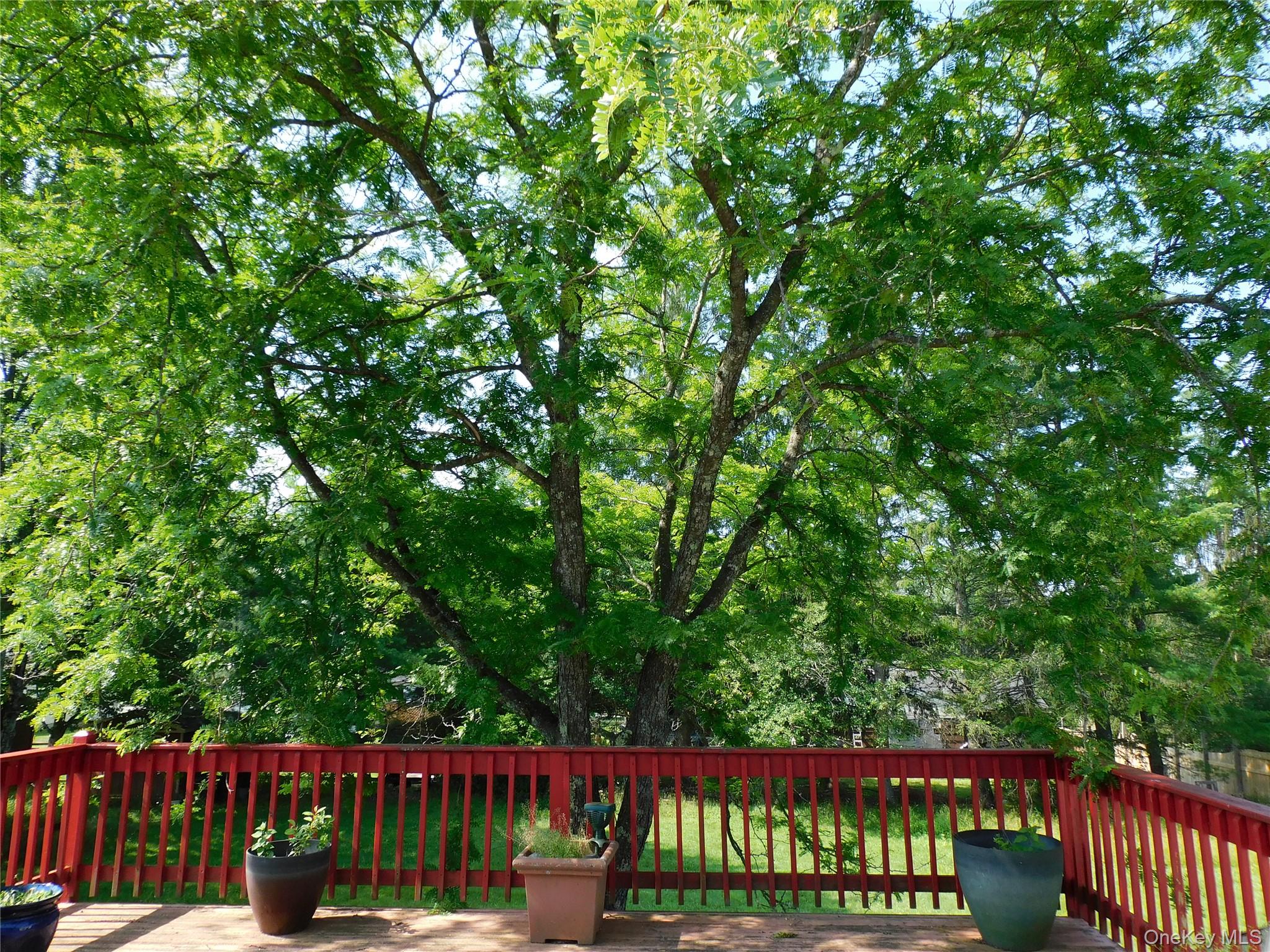 30 Kelly Avenue Property Photo 4