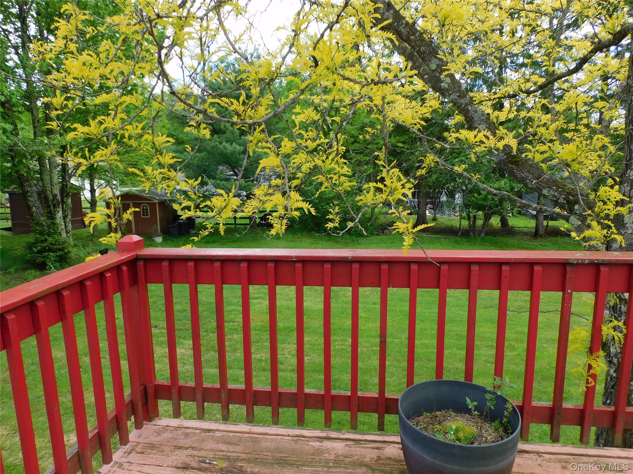 30 Kelly Avenue Property Photo 7