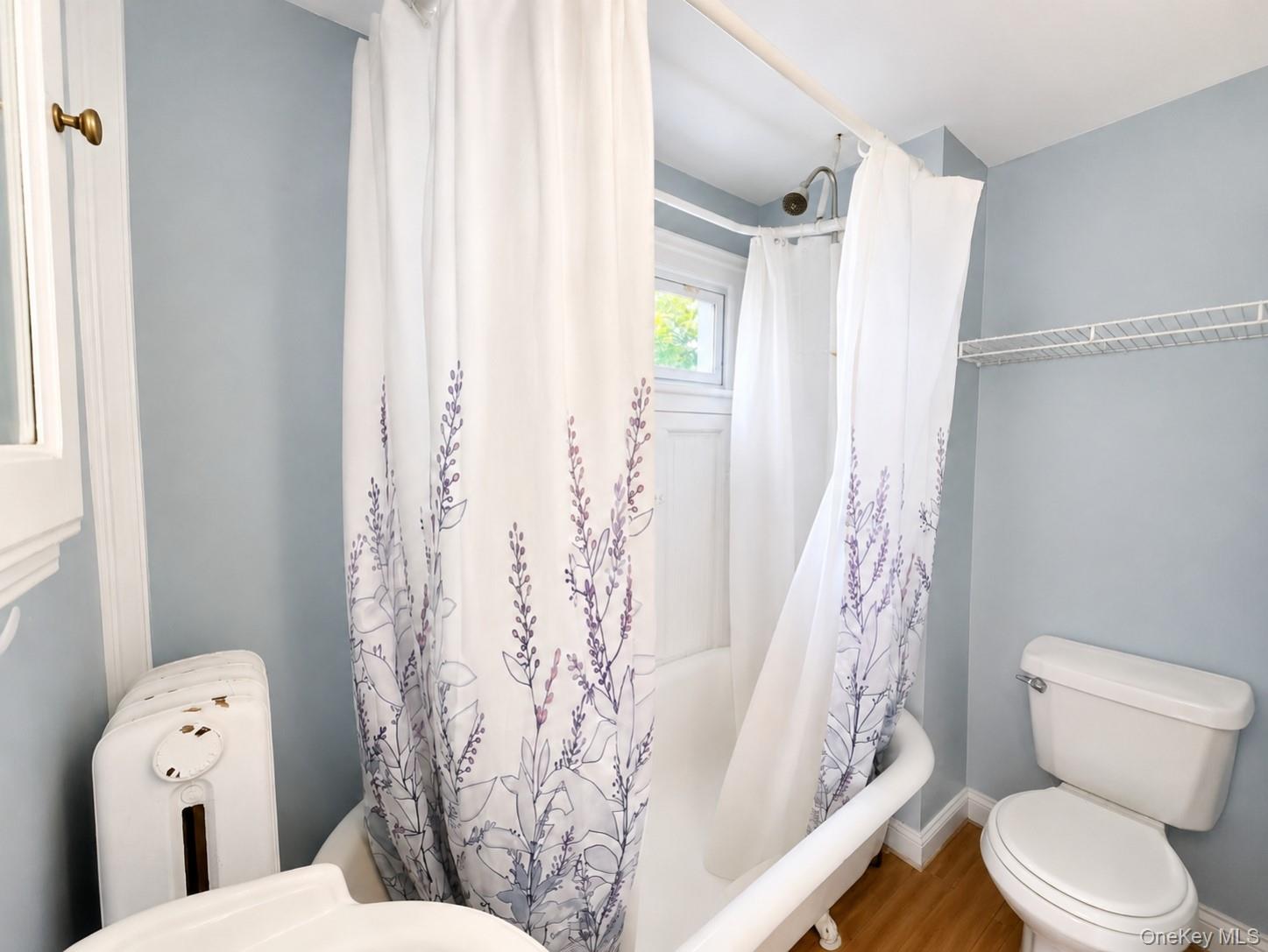 23 Franklin Street Property Photo 29