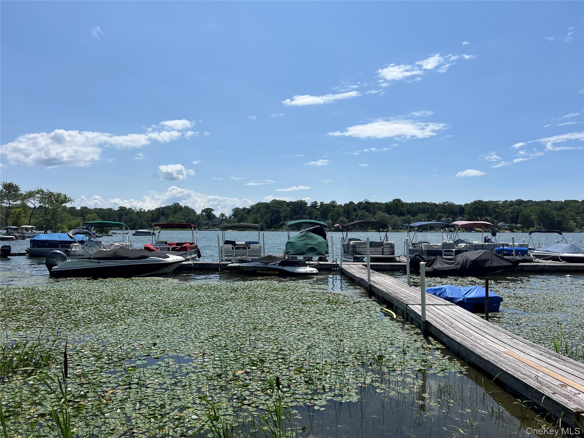 72 Vails Lake Shore Drive Property Photo 10