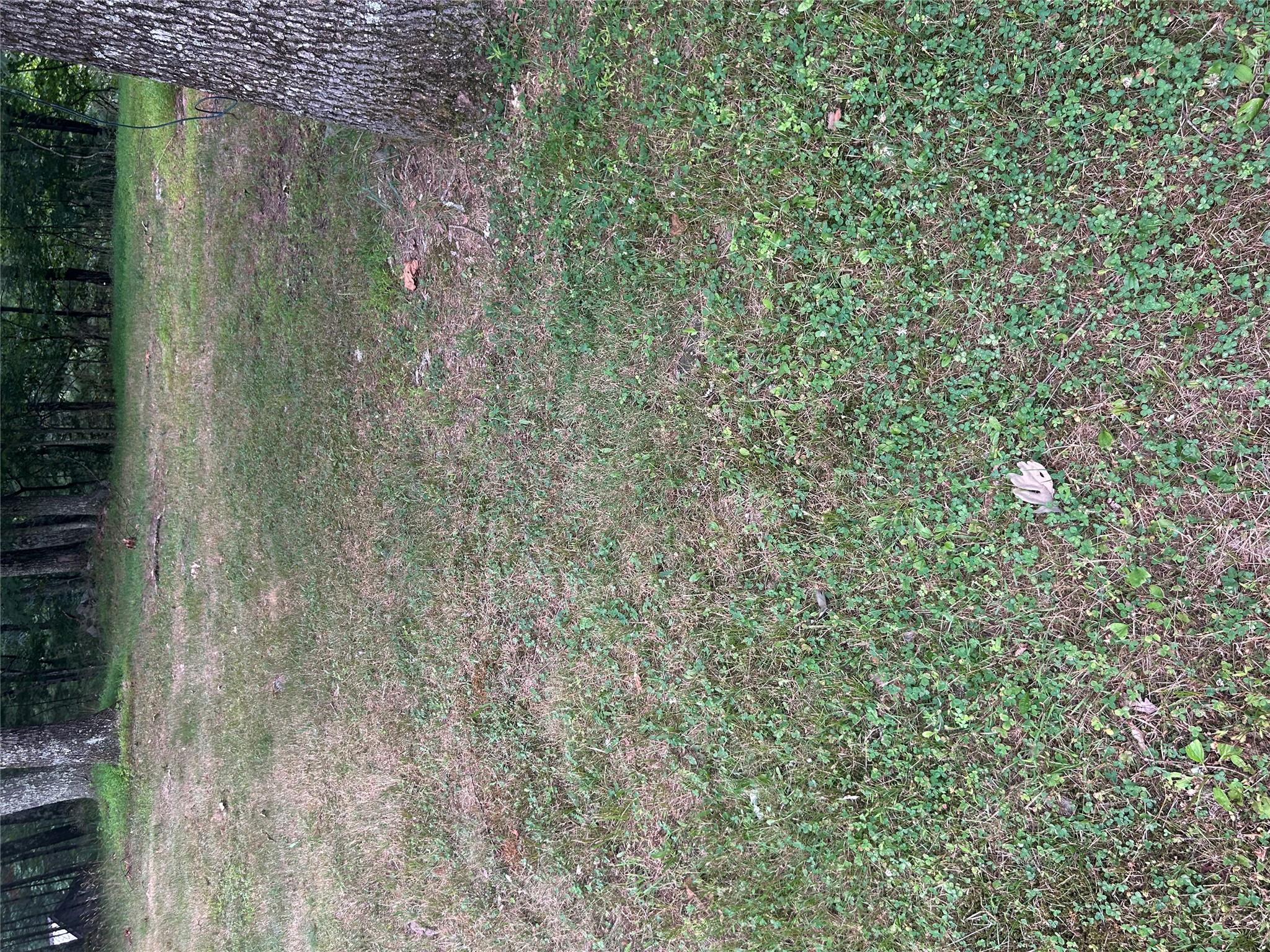 Sunset Avenue Property Photo 1