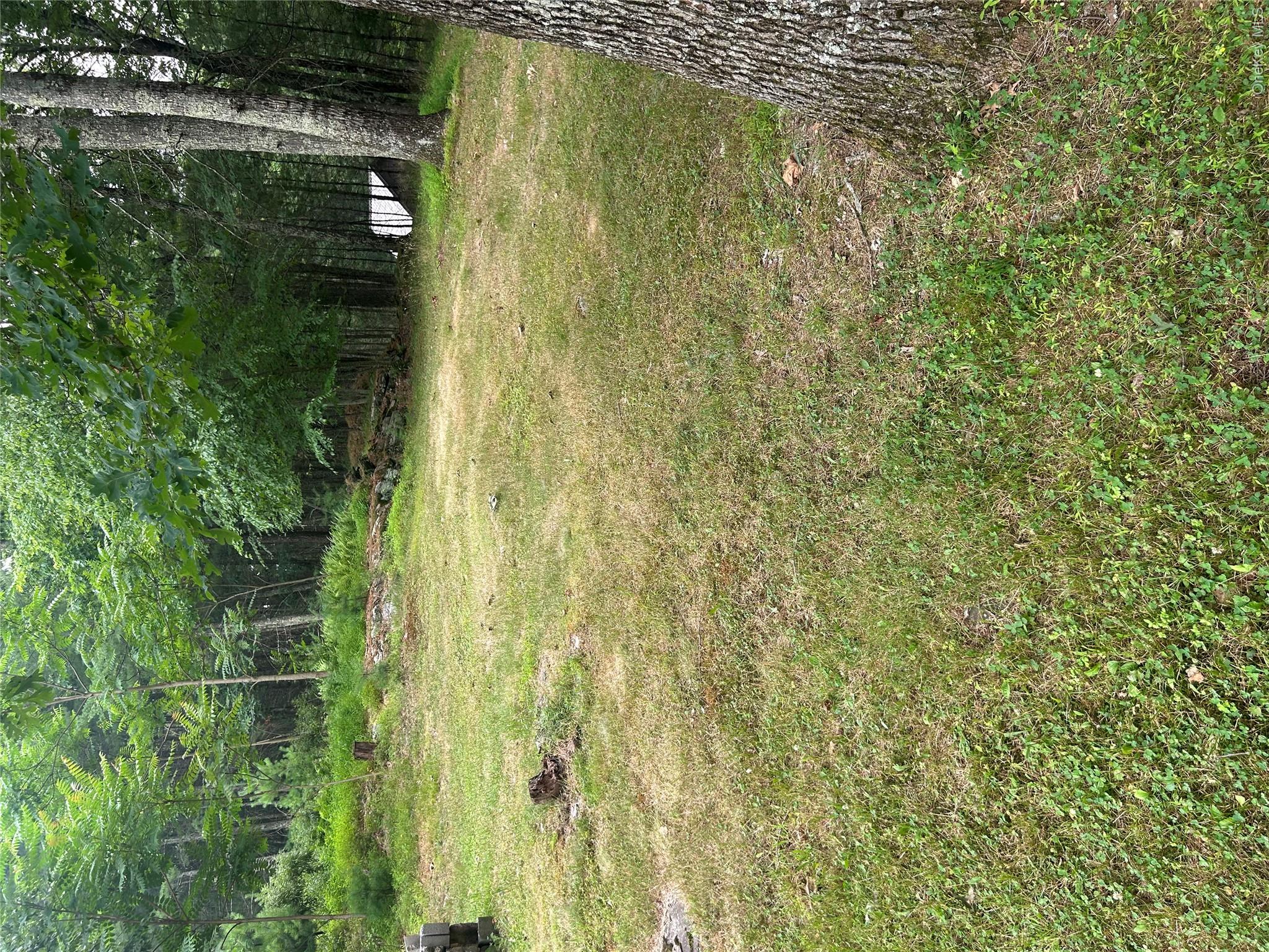 Sunset Avenue Property Photo 4