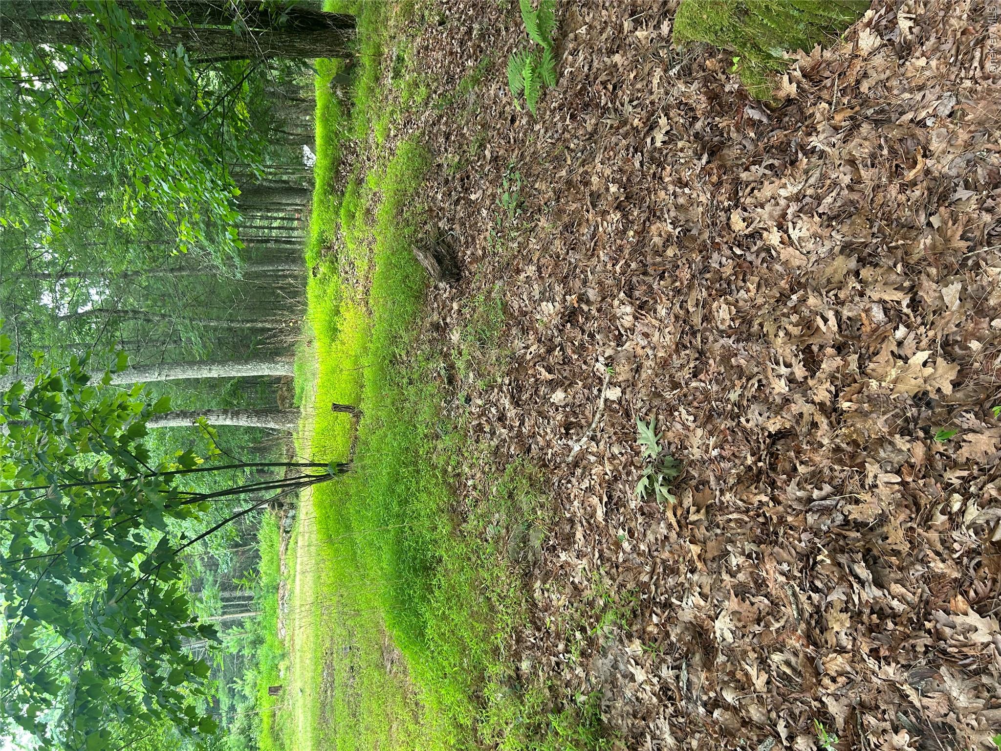 Sunset Avenue Property Photo 5
