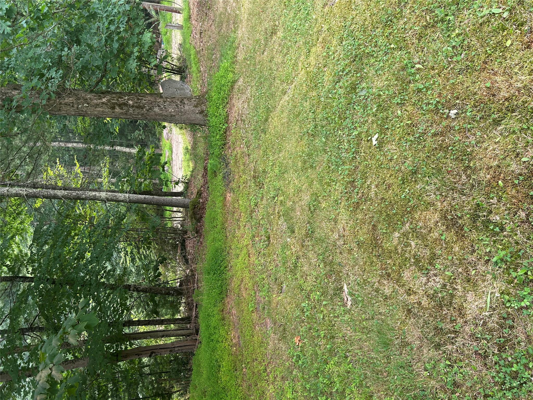Sunset Avenue Property Photo 6