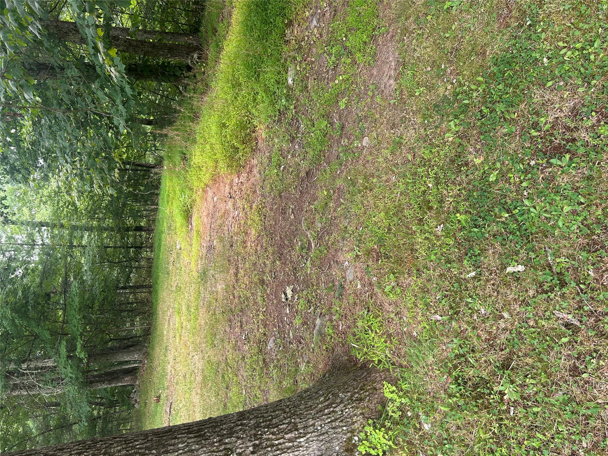 Sunset Avenue Property Photo 7