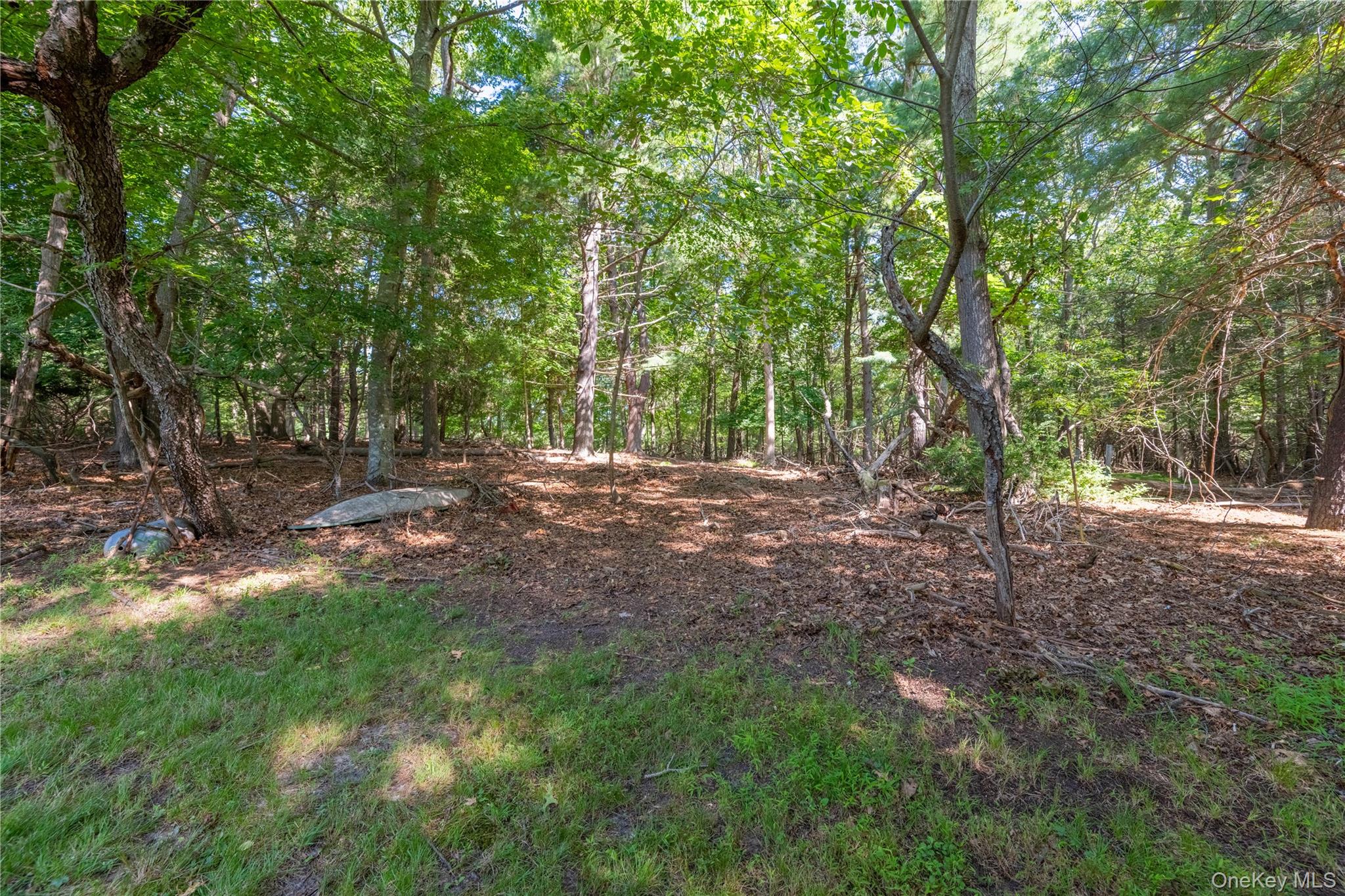 5 Cedar Grove Terrace Property Photo 6