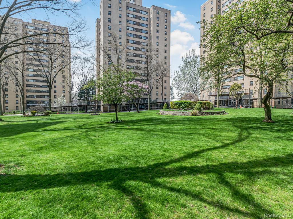 4 Fordham Hill Oval 1a Property Photo 19