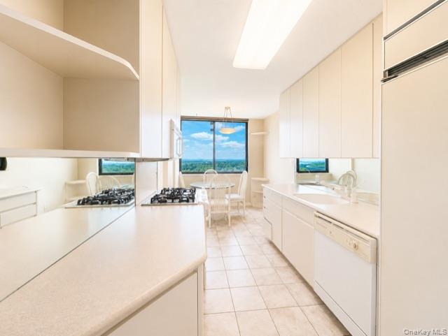 26910 Grand Central Parkway 19o Property Photo 9