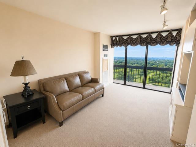 26910 Grand Central Parkway 19o Property Photo 13