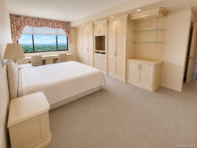 26910 Grand Central Parkway 19o Property Photo 16