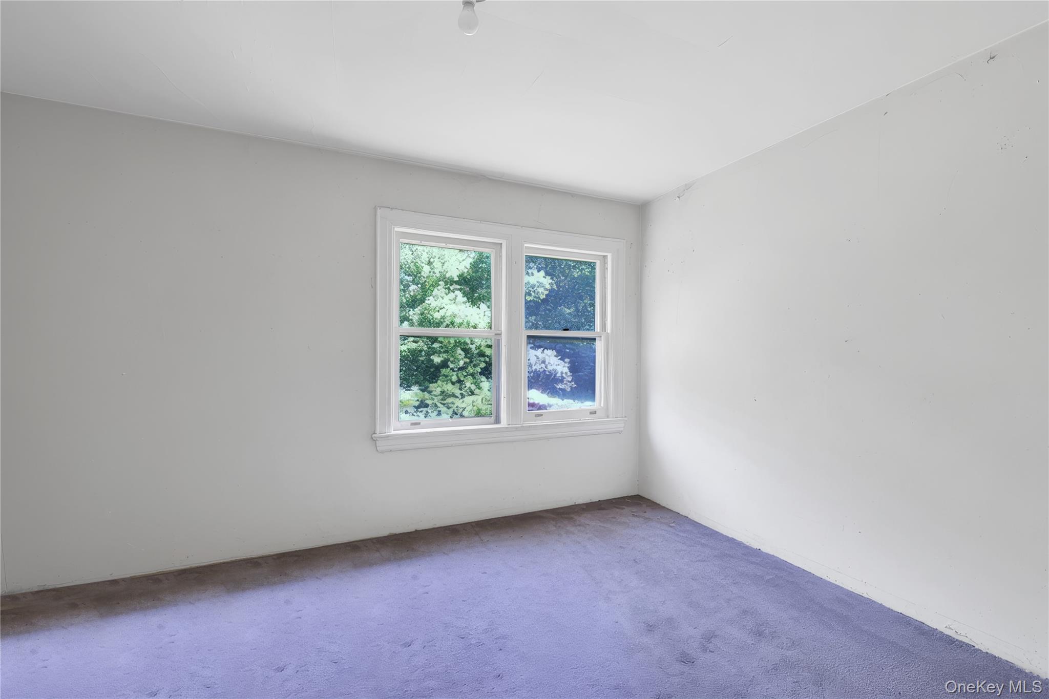 14 Clover Drive Property Photo 19