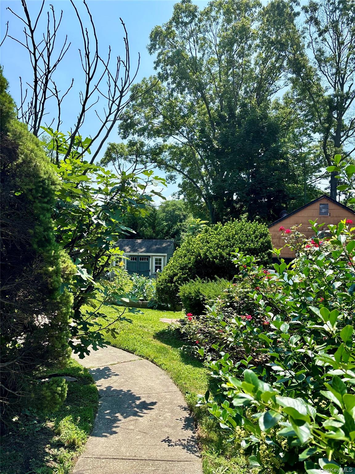 17 Alex Lane Property Photo 3