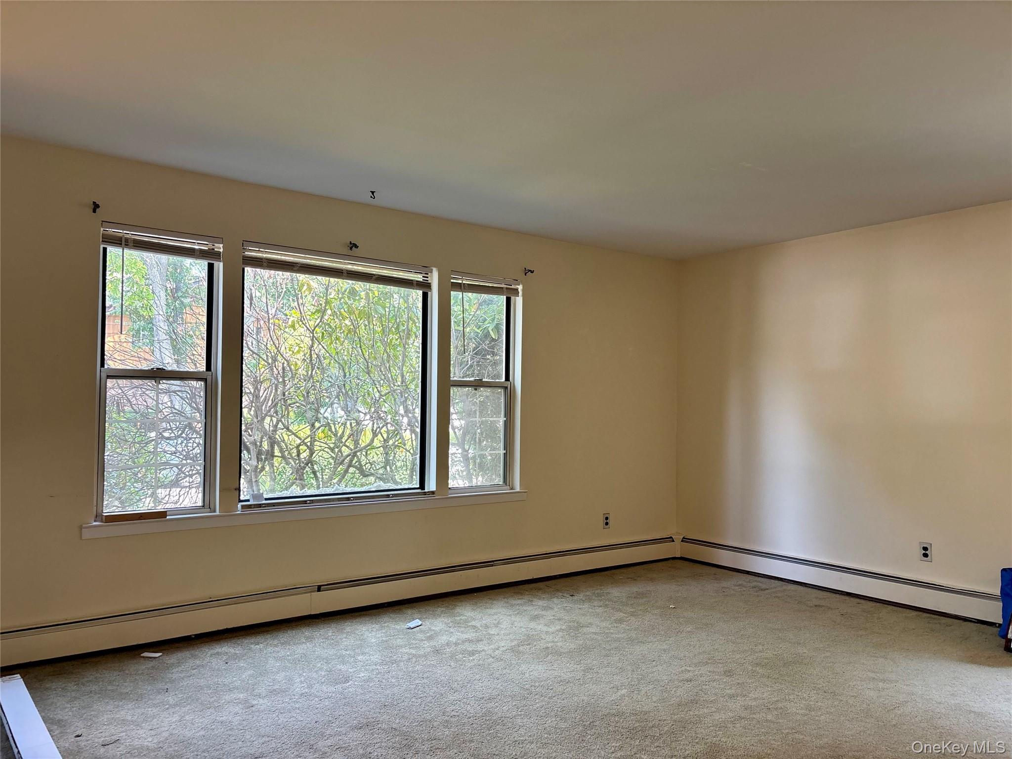 17 Alex Lane Property Photo 12