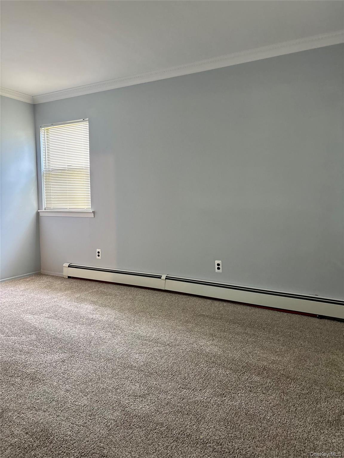 17 Alex Lane Property Photo 16