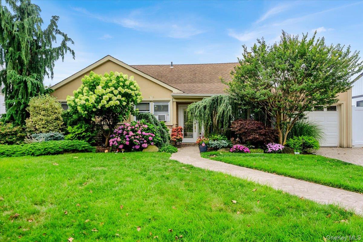 1497 Park Street Property Photo 1