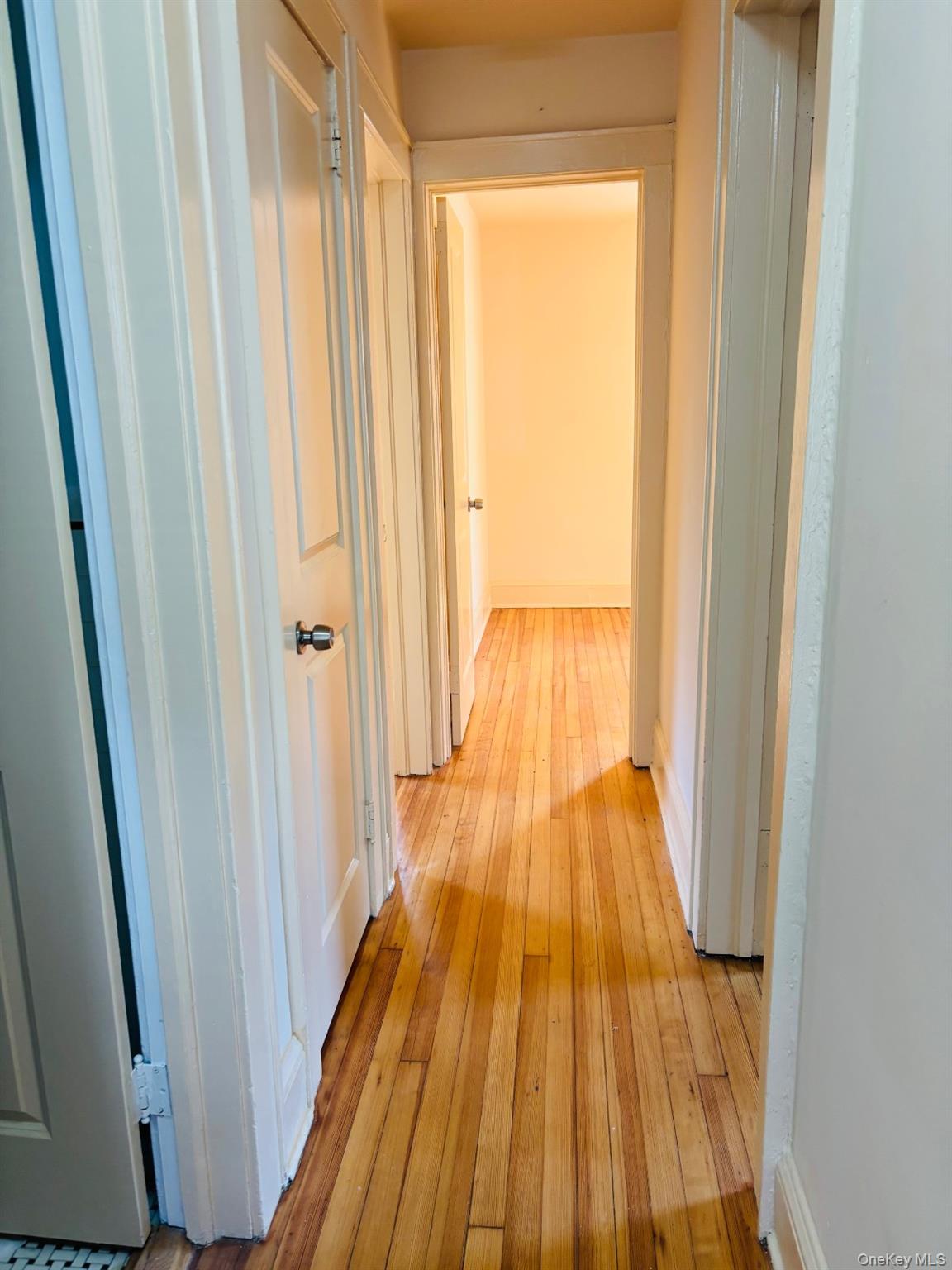 29 Roosevelt Street Property Photo 8