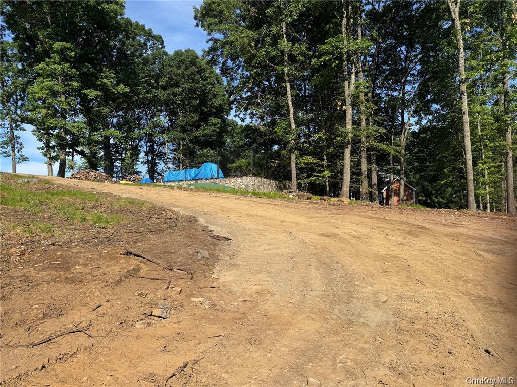 Lot 3 124 Kincart Court Property Photo 4